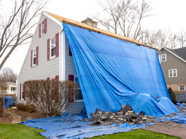 Siding Installation